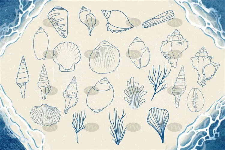 74个海洋生物图案｜Procreate笔刷详情图 7