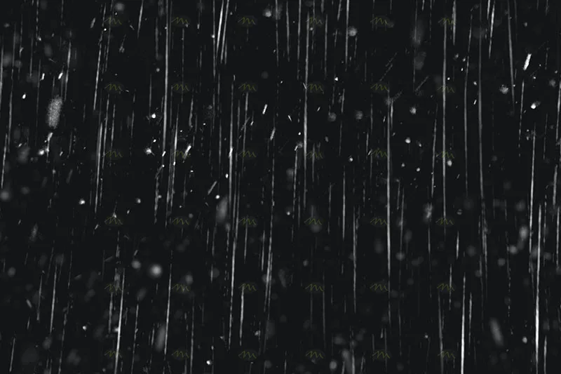 10个下雨特效｜Procreate笔刷详情图 7