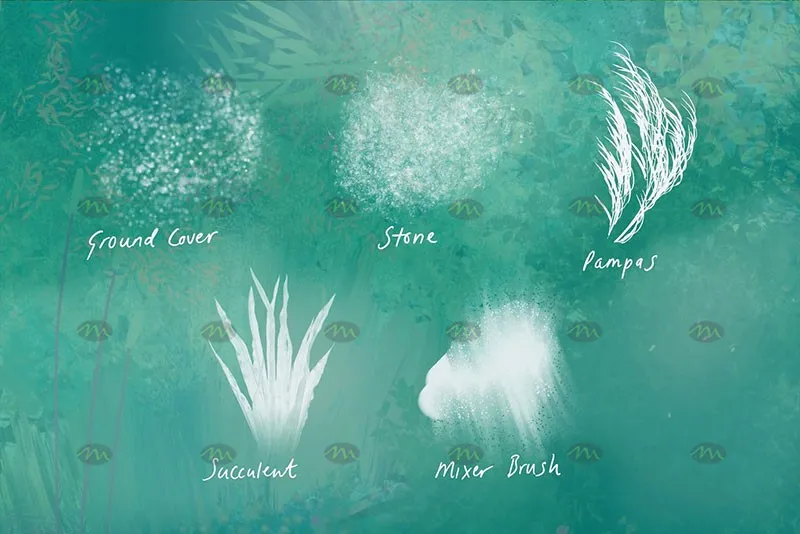 38个植物树叶｜Procreate笔刷详情图 11