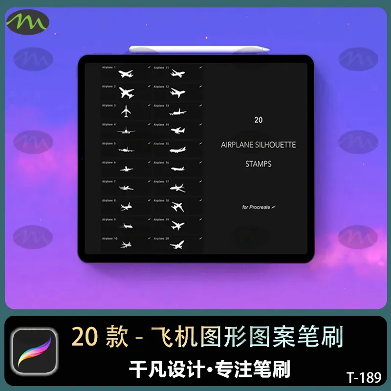 20个飞机图案图形｜Procreate笔刷