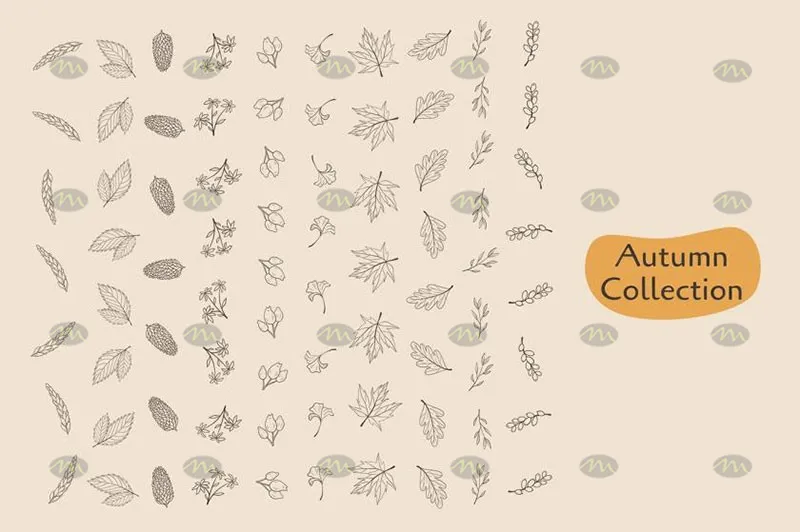 20个秋季植物简笔画|Procreate笔刷详情图 7