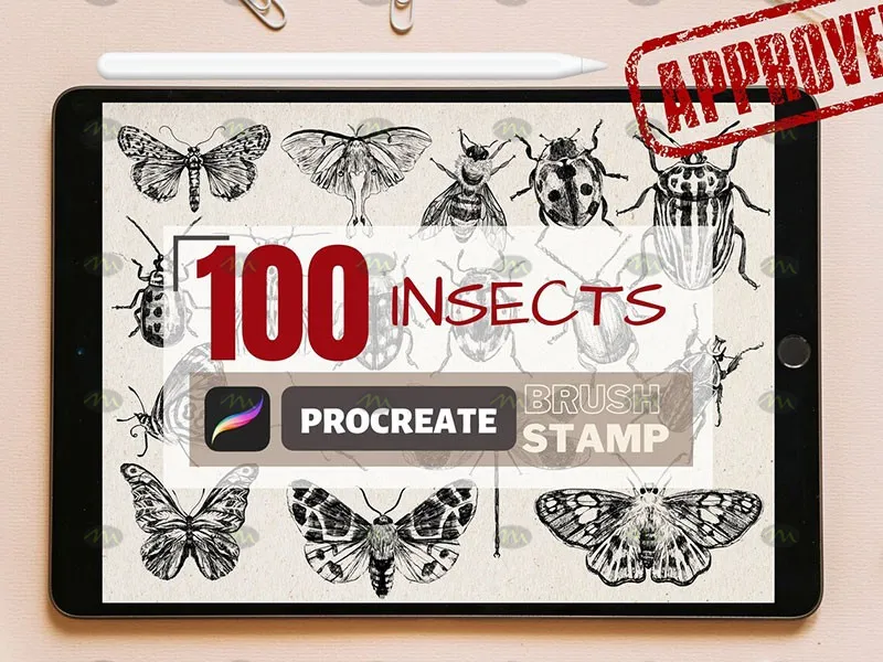 100个昆虫标本集｜Procreate笔刷详情图 13