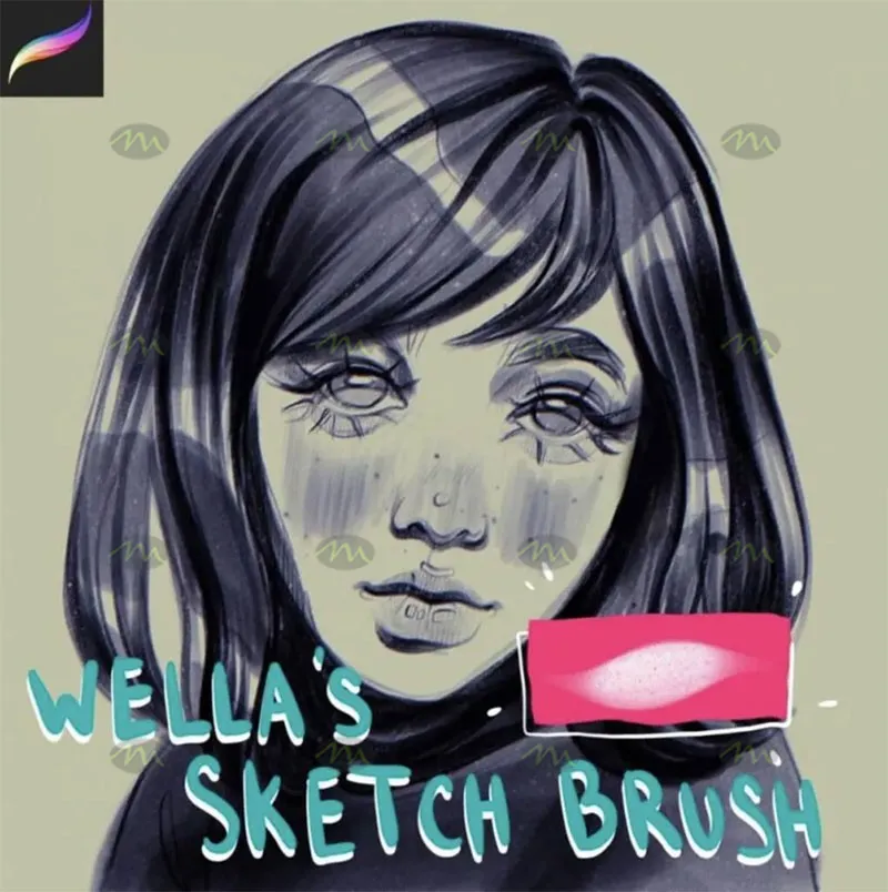 1个独特素描｜Procreate笔刷详情图 8