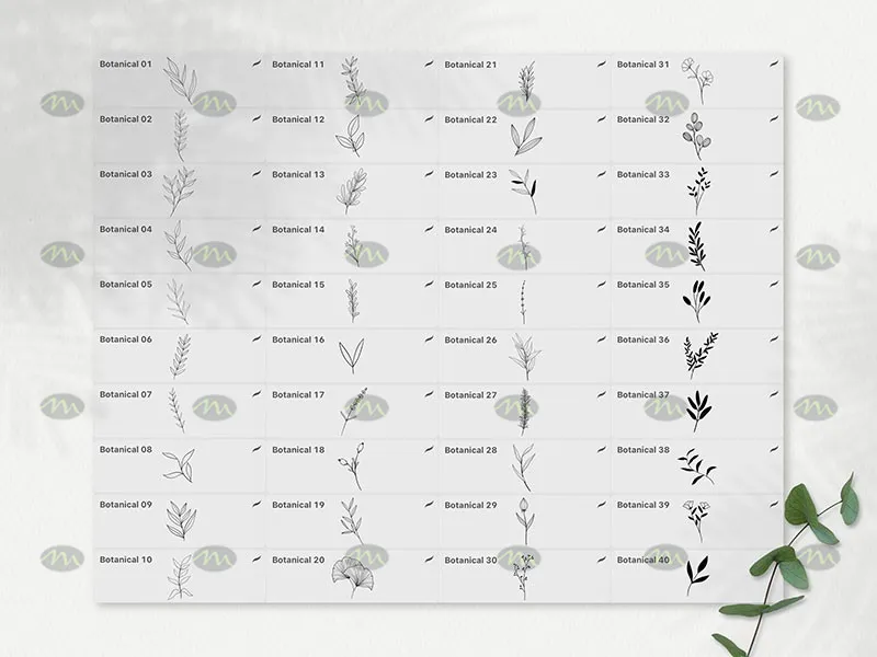 40个花卉植物简笔画｜Procreate笔刷详情图 6