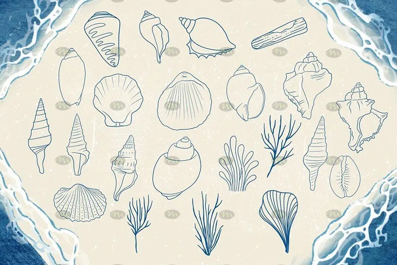 74个海洋生物卡通线描画｜Procreate笔刷详情图 7
