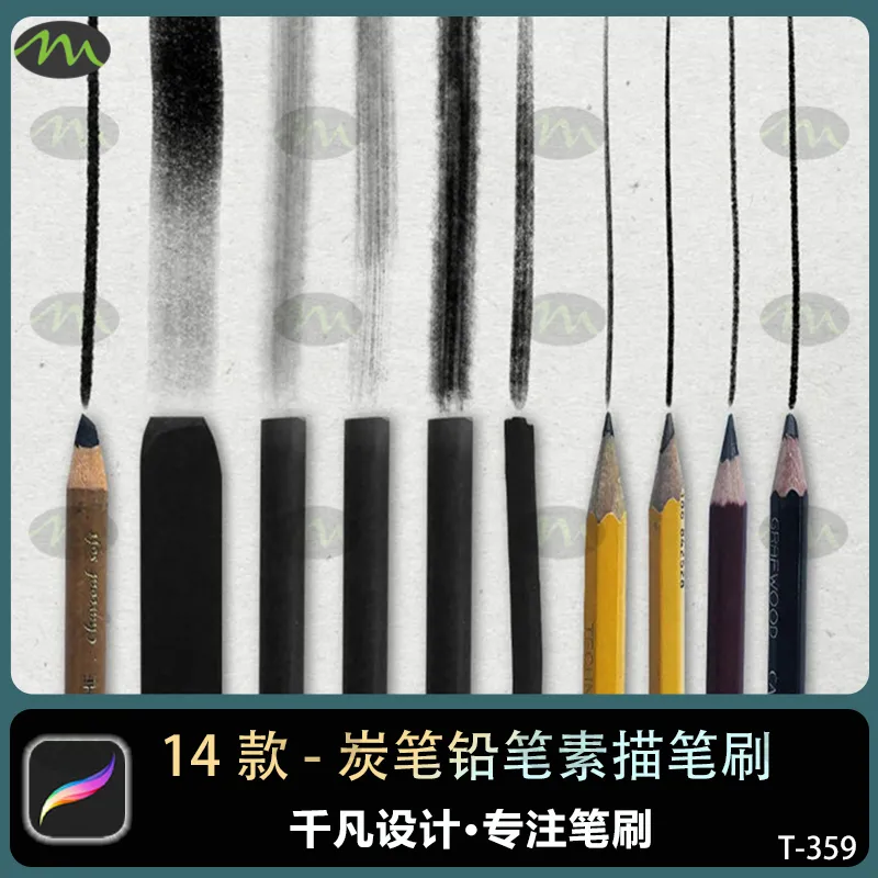大师艺术炭笔铅笔素描插画｜Procreate笔刷