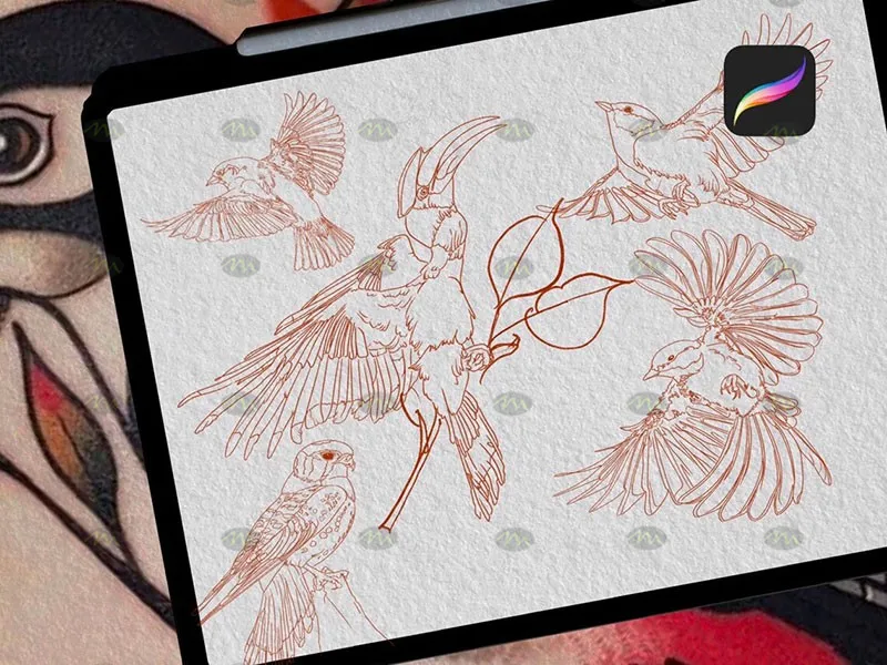 50个鸟类纹身图案｜Procreate笔刷详情图 8