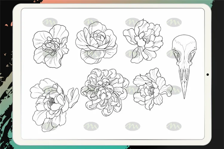 50个纹身骷髅植物眼镜蛇 绘画｜Procreate笔刷详情图 8