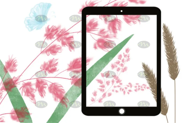 40文艺小清新花卉植物叶子绘本｜Procreate笔刷详情图 7