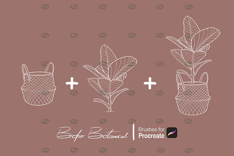 40个手绘植物印花｜Procreate笔刷详情图 8