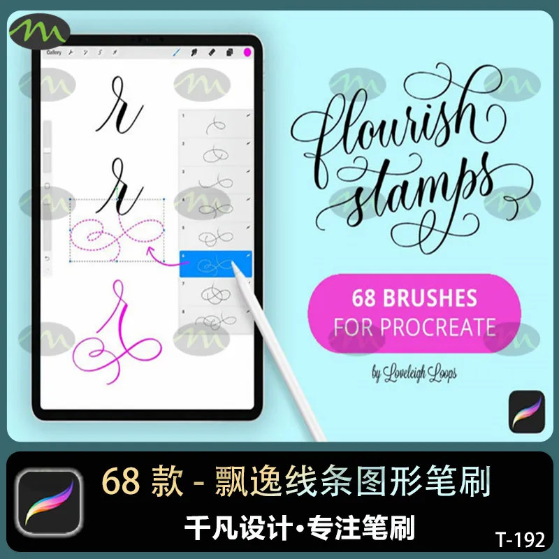 68个花体圆体字笔飘逸线条装饰字母笔画图案图形｜Procreate笔刷
