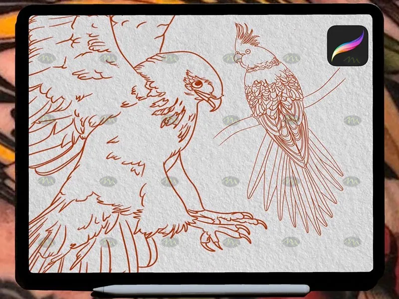 50个鸟类纹身图案｜Procreate笔刷详情图 7