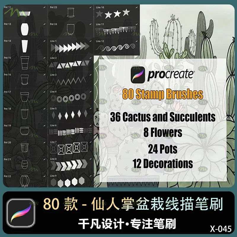 80个仙人掌盆栽线描画｜Procreate笔刷
