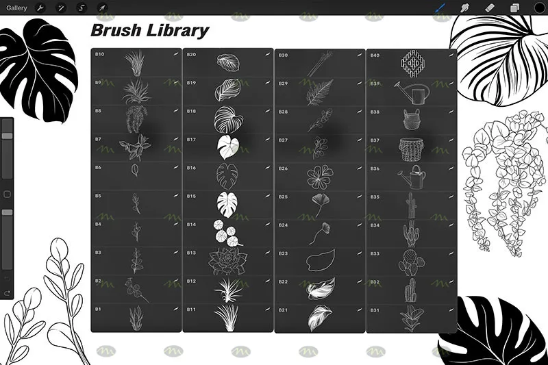 40个手绘植物印花｜Procreate笔刷详情图 7