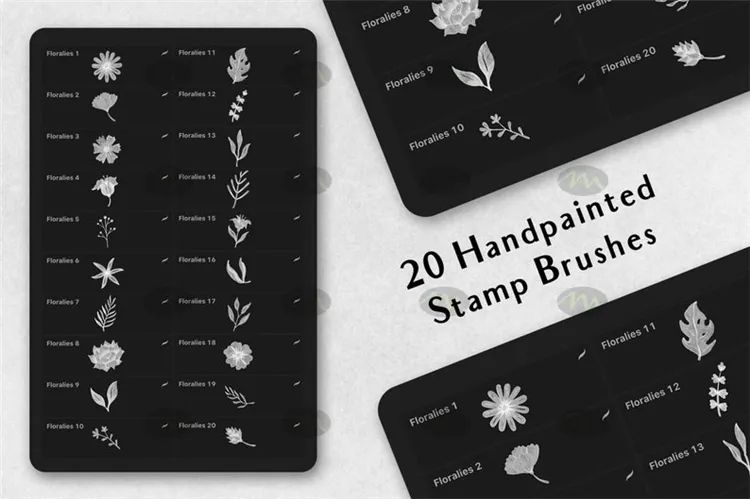 20个叶子描边素描花卉剪影图案｜Procreate笔刷详情图 6