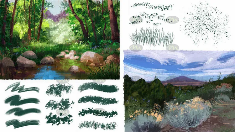 64个仙人掌植物叶子海洋蕨类藻类｜Procreate笔刷详情图 6