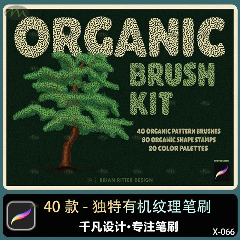 40个独特有机纹理｜Procreate笔刷