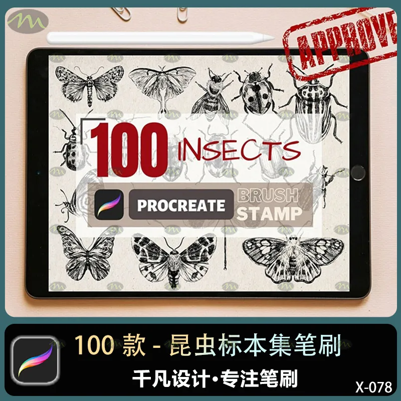 100个昆虫标本集｜Procreate笔刷