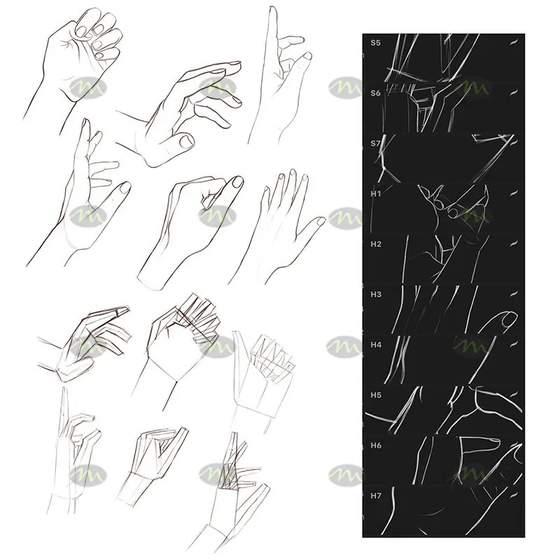 14个手部线稿速写｜Procreate笔刷详情图 8