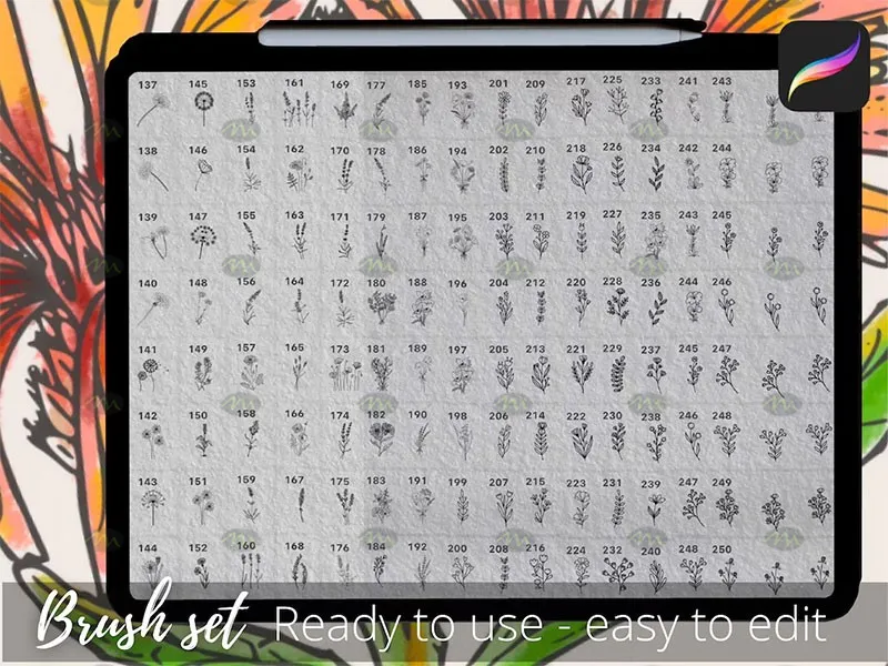 250个花卉手绘线稿｜Procreate笔刷详情图 7