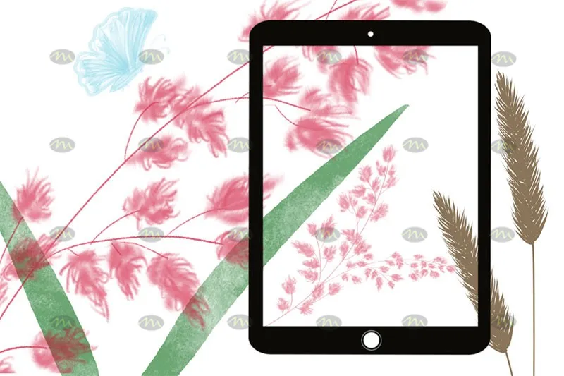 40个花草植物图章｜Procreate笔刷详情图 8