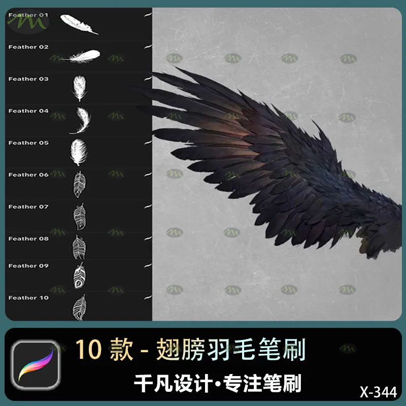 10个翅膀羽毛｜Procreate笔刷