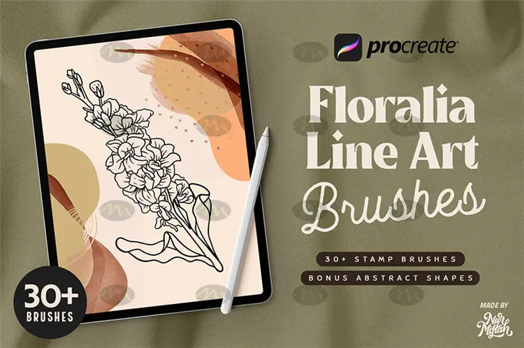 30个线描植物叶子花卉花朵素描｜Procreate笔刷详情图 7