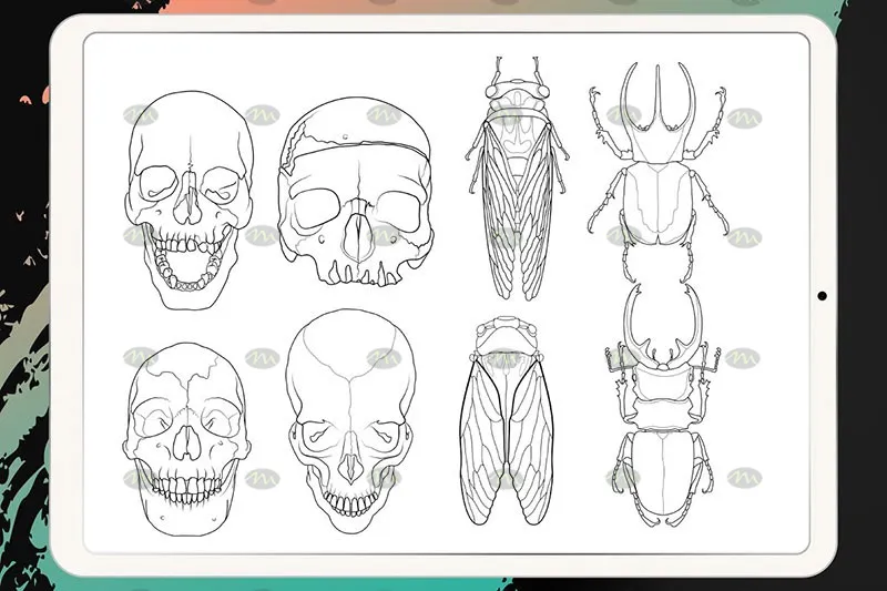 50个刺青纹身图案｜Procreate笔刷详情图 7
