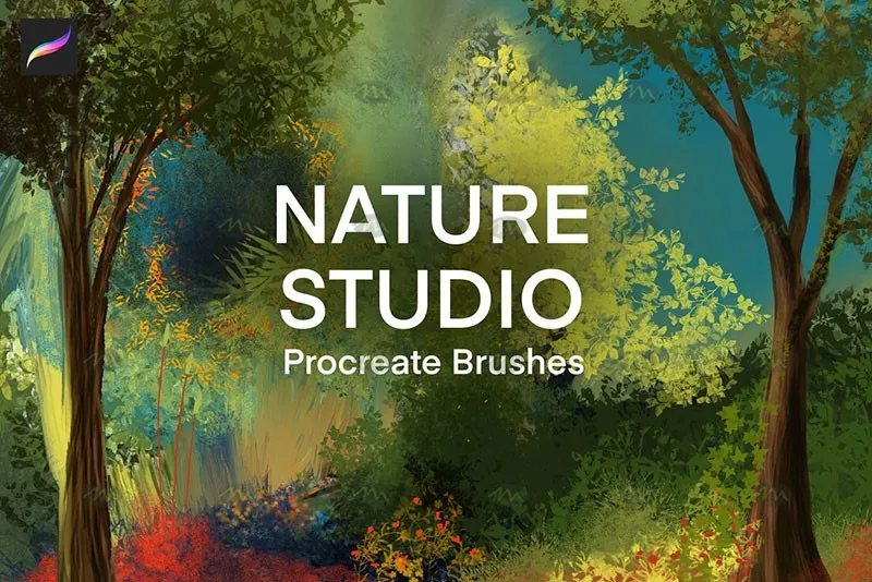 38个植物树叶｜Procreate笔刷详情图 14