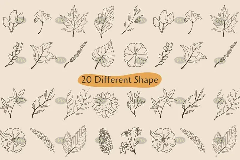 20个秋季植物简笔画|Procreate笔刷详情图 6