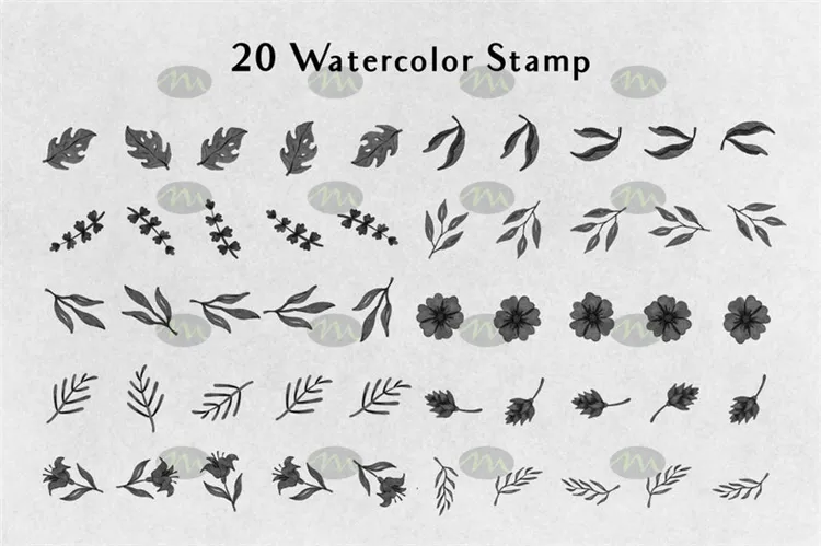 20个叶子描边素描花卉剪影图案｜Procreate笔刷详情图 7