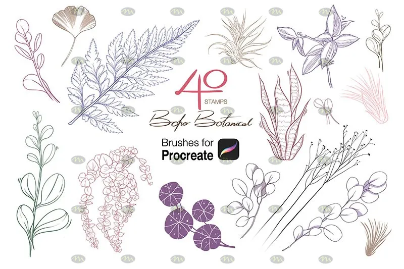 40个手绘植物印花｜Procreate笔刷详情图 6