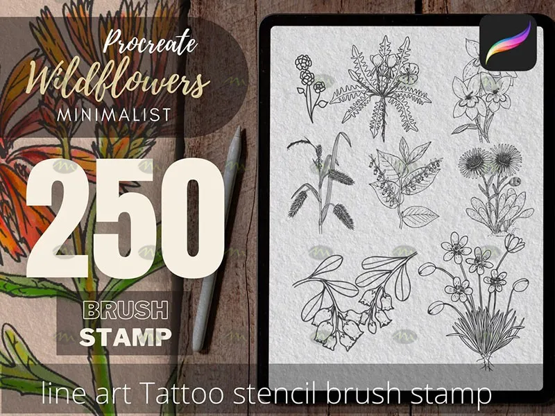 250个花卉手绘线稿｜Procreate笔刷详情图 11