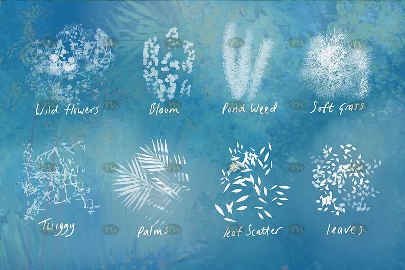38个植物树叶｜Procreate笔刷详情图 8
