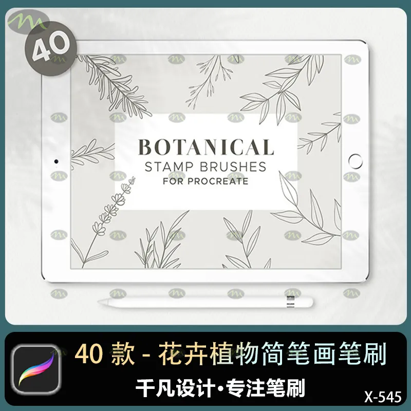 40个花卉植物简笔画｜Procreate笔刷