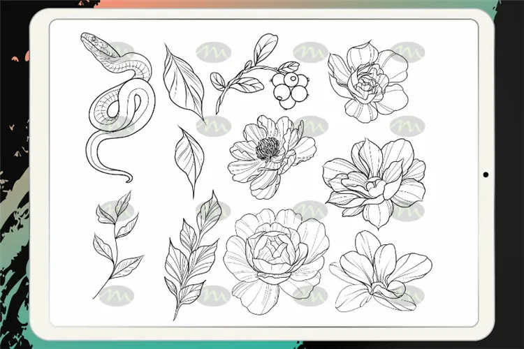 50个纹身骷髅植物眼镜蛇 绘画｜Procreate笔刷详情图 6