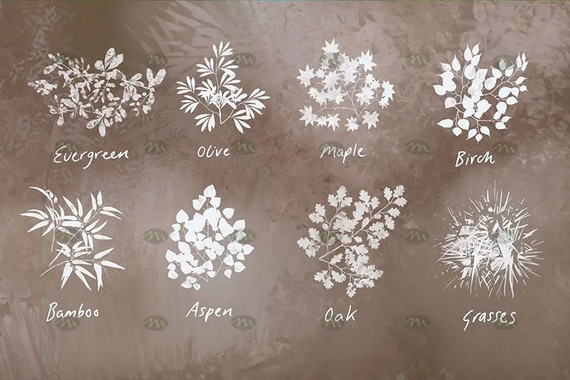 38个植物树叶｜Procreate笔刷详情图 9