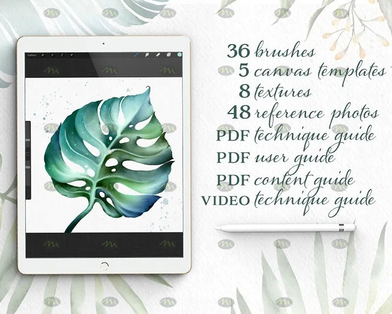 36个植物花卉水彩｜Procreate笔刷详情图 9