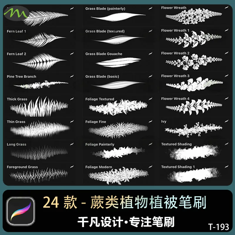24个蕨类热带植物叶子植被森林｜Procreate笔刷