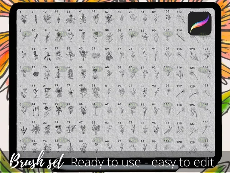 250个花卉手绘线稿｜Procreate笔刷详情图 8