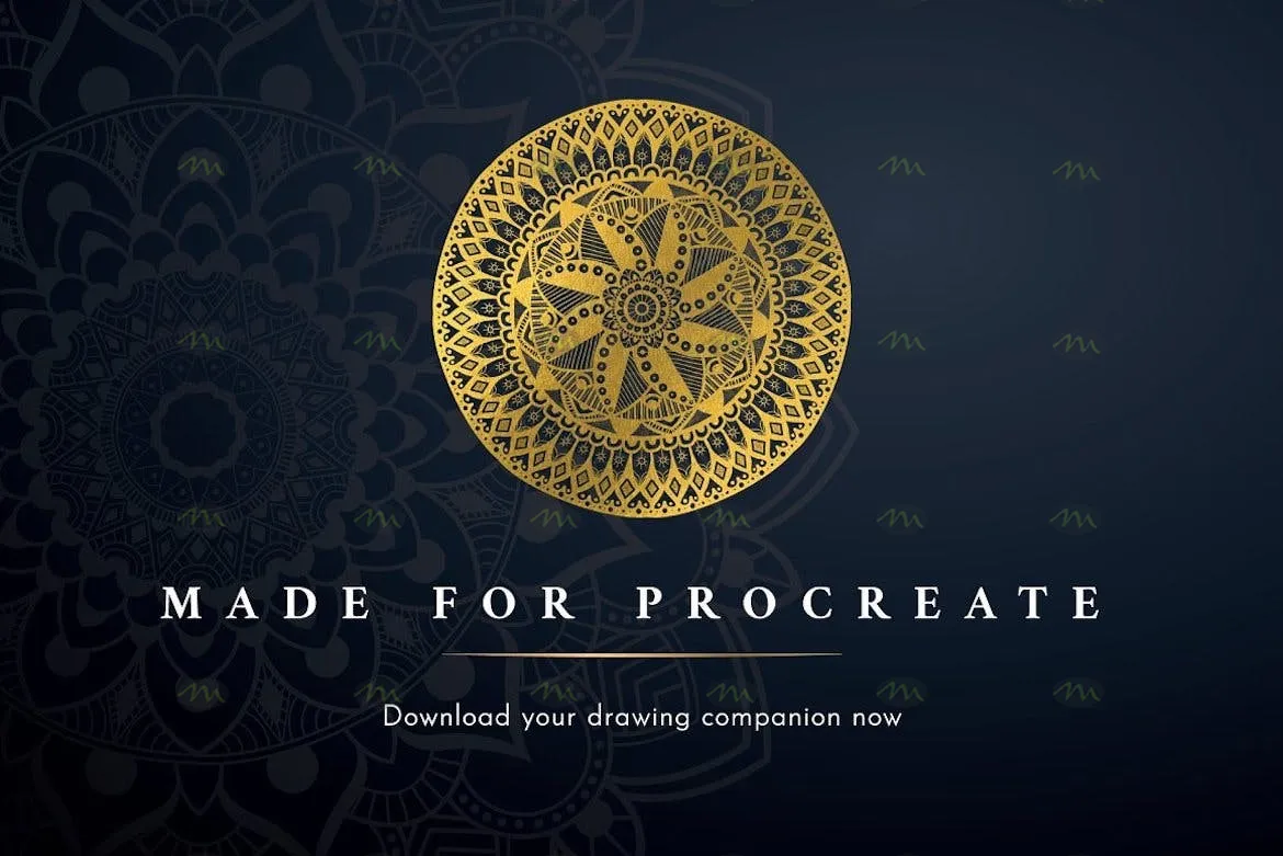 12个曼陀罗花纹图案｜Procreate笔刷详情图 10