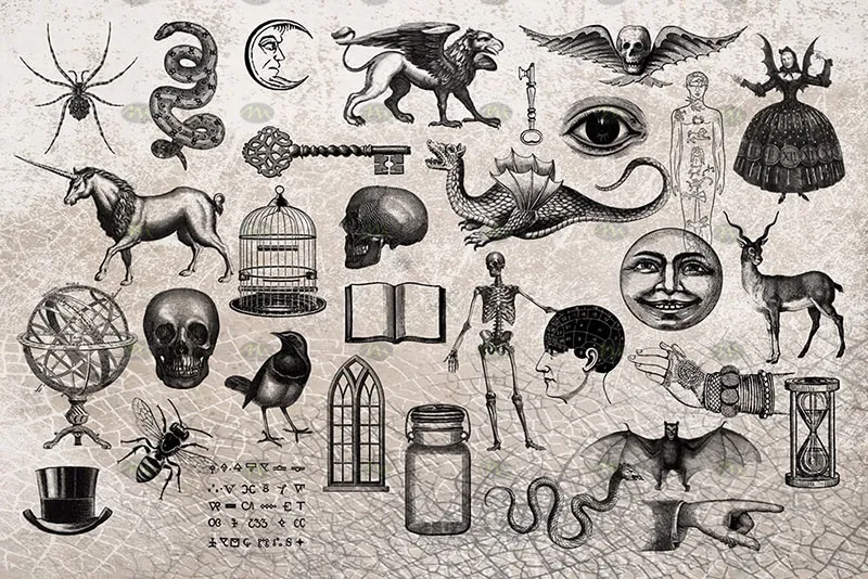 47个复古魔法元素｜Procreate笔刷详情图 7