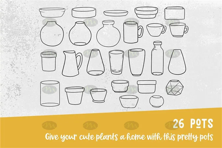 47个多肉植物仙人球图案｜Procreate笔刷详情图 6