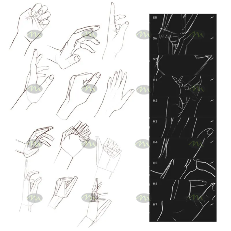 14个手势辅助线稿｜Procreate笔刷详情图 8