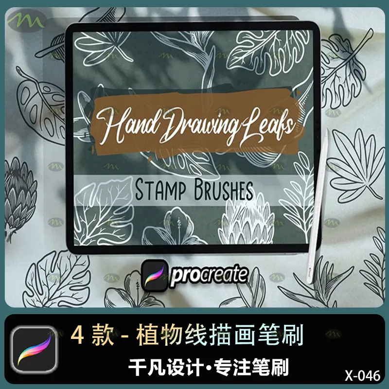 4个植物线描画｜Procreate笔刷