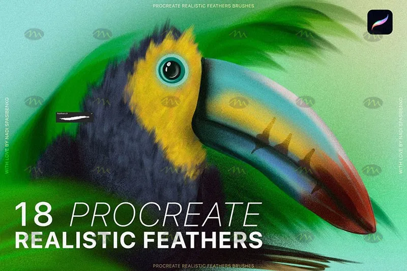 18个鸟类羽毛|Procreate笔刷详情图 12