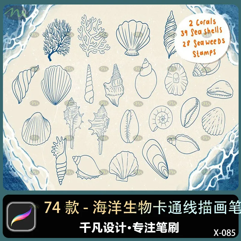 74个海洋生物卡通线描画｜Procreate笔刷