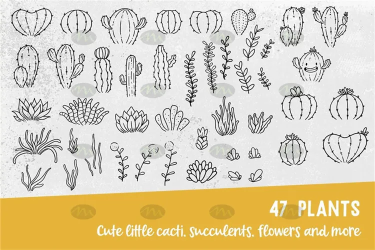 47个多肉植物仙人球图案｜Procreate笔刷详情图 12