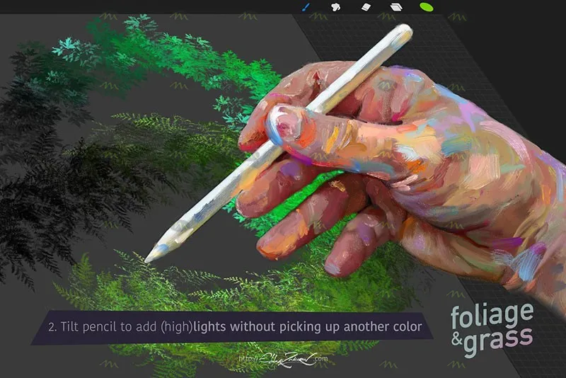 60个叶子和草丛｜Procreate笔刷详情图 6