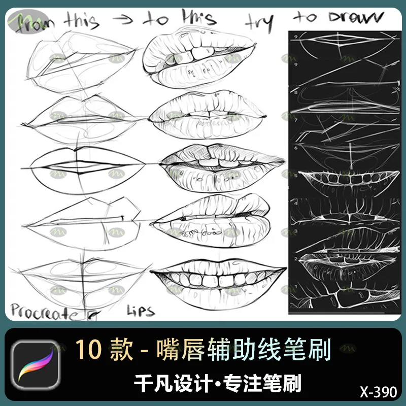 10个嘴唇辅助线｜Procreate笔刷